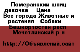 Померанский шпиц девочка  › Цена ­ 50 000 - Все города Животные и растения » Собаки   . Башкортостан респ.,Мечетлинский р-н